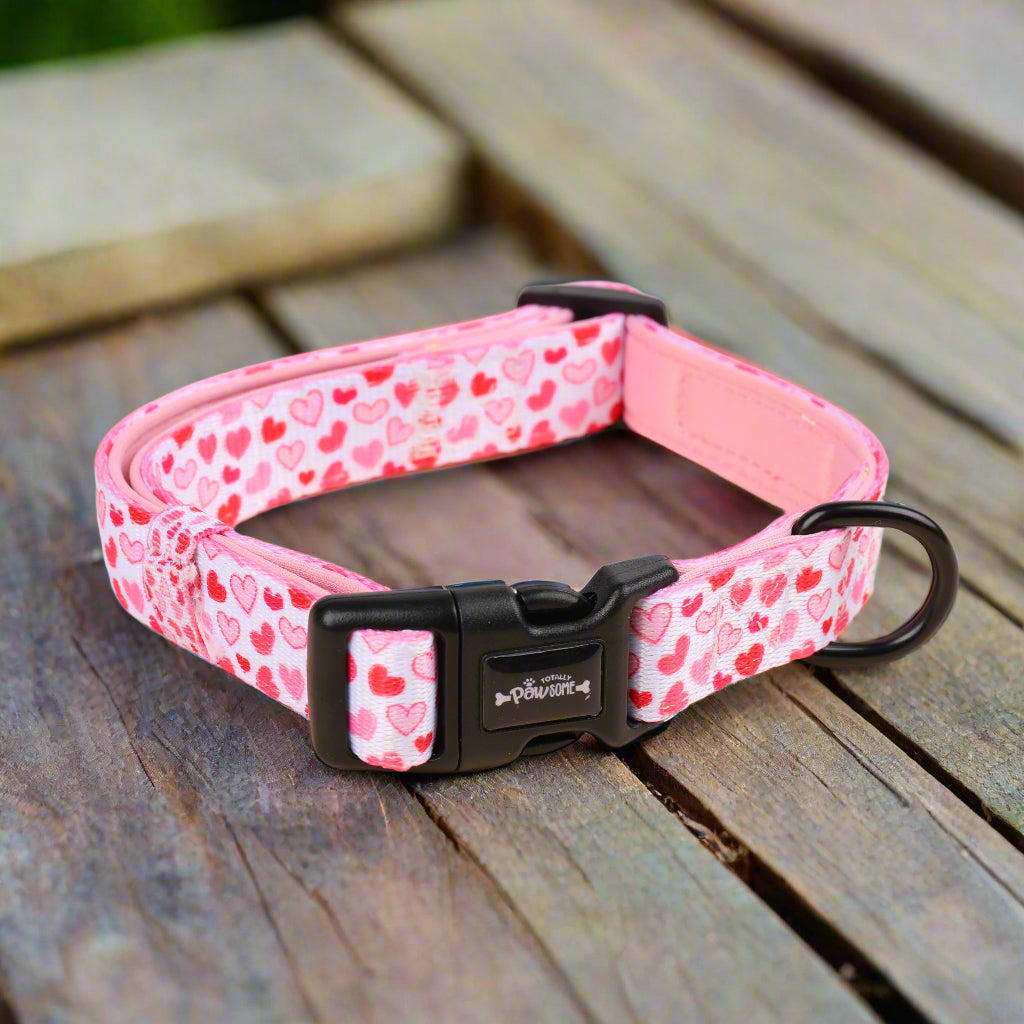 Pink Hearts adjustable Dog Collar for dogs & Puppies