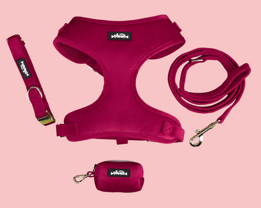 Red Velvet harness set x 4