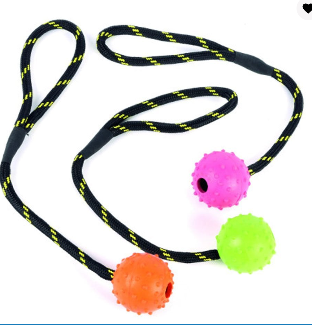 Rope Toy