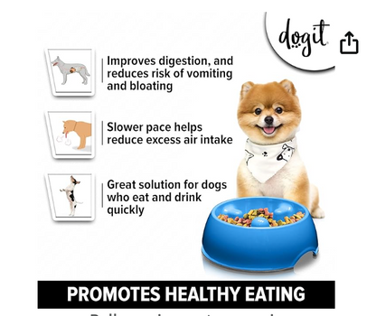Dog It - Go Slow Anti Gulping Bowl (Large - 600ml)