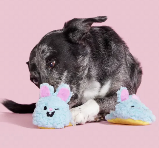 Bark Toys - Yippy & Skippy Slippies Dog Toy