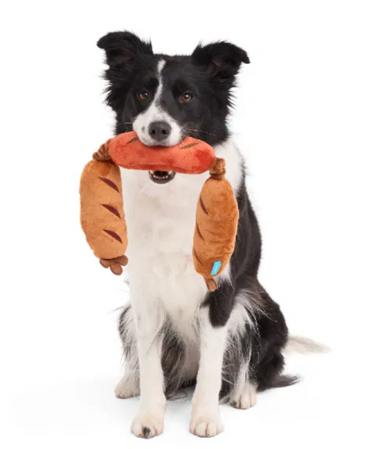 Bark Toys - Lickin' Links Dog Toy