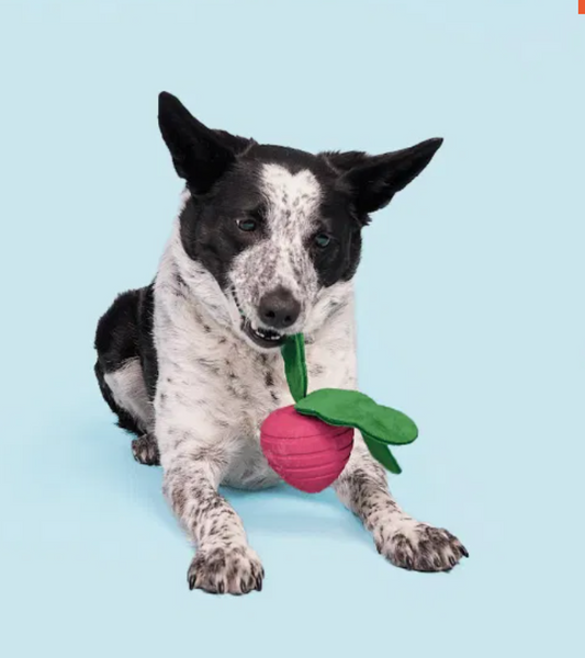 Bark Toys - Turnt Up Turnip Dog
