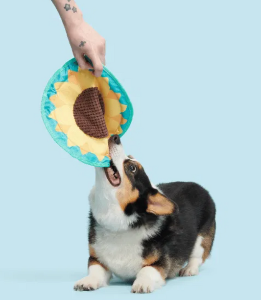 Bark Toys - Sunflower Flinger Dog Toy