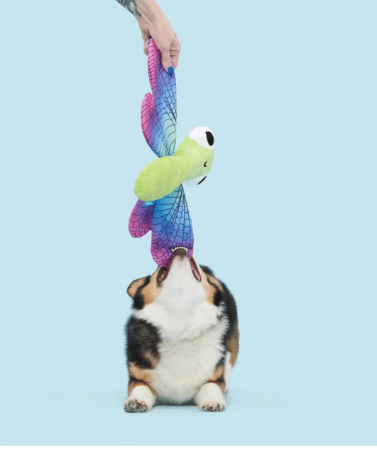 Bark Toys - Dragonfly Guy Dog Toy