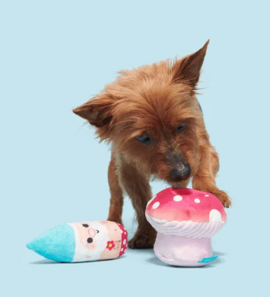 Bark Toys - Fun Guy Gnomie Homie Dog Toy