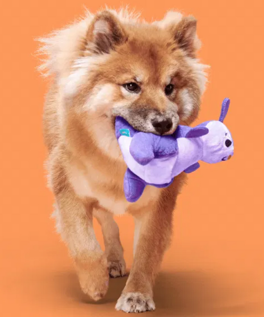 Bark Toys - Bark Topanga Kanga Dog Toy