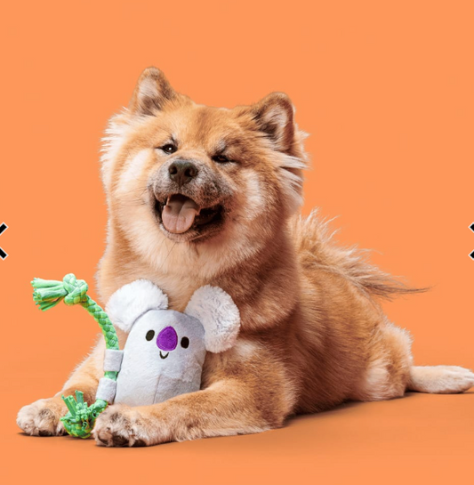 Bark Toys - Bark Koa Koala Dog Toy