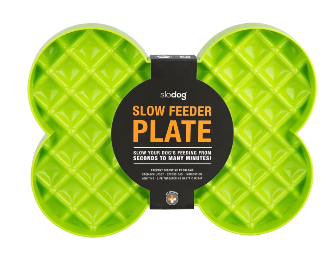 Slow Feeder Plate - Green