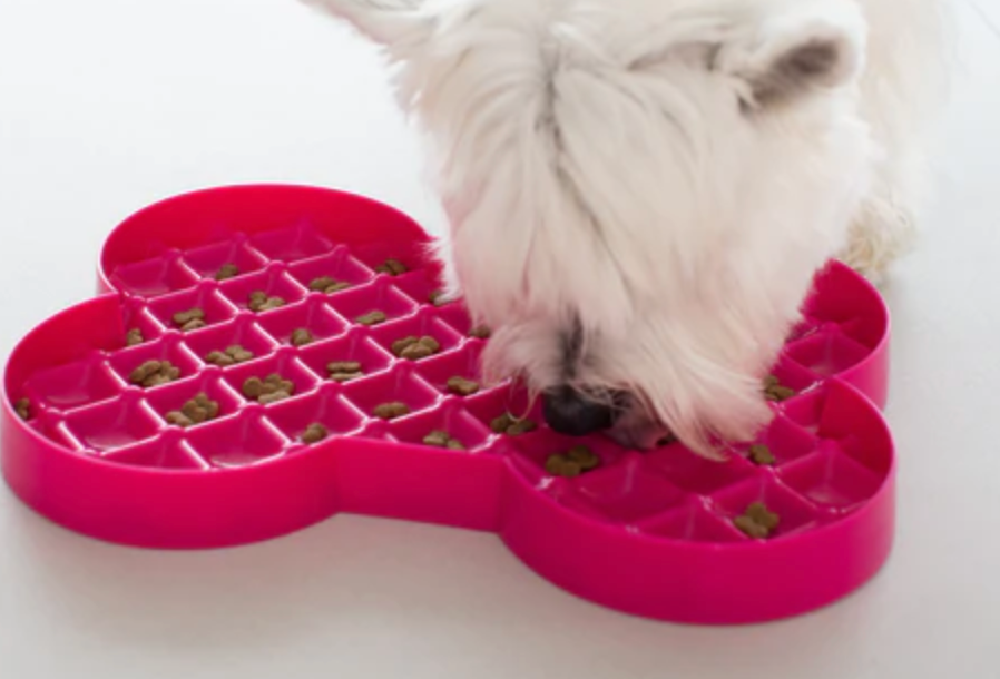 Slow Feeder Plate - with dog