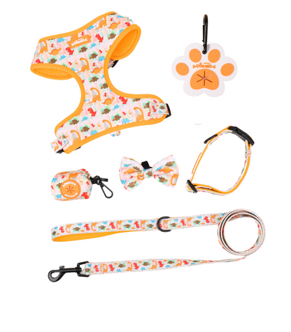 DinoPaws Adjustable Dog Harness Bundle