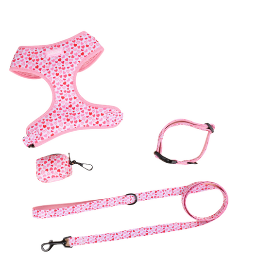 I woof You - 4 piece Harness Bundle (Harness, Collar, Lead and Poop Bag Holder)