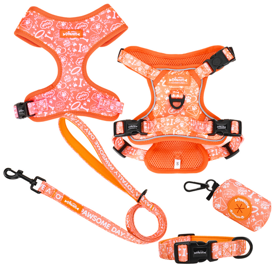 Sunburst Paws - TP Adventures - 4 piece Bundle (Harness, Collar, Lead & Poop Bag Holder)