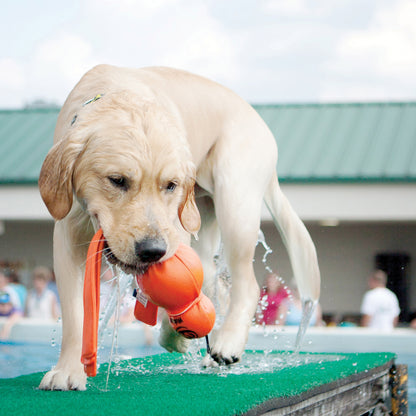 Kong Water Wubba Dog Toy- Plain Large