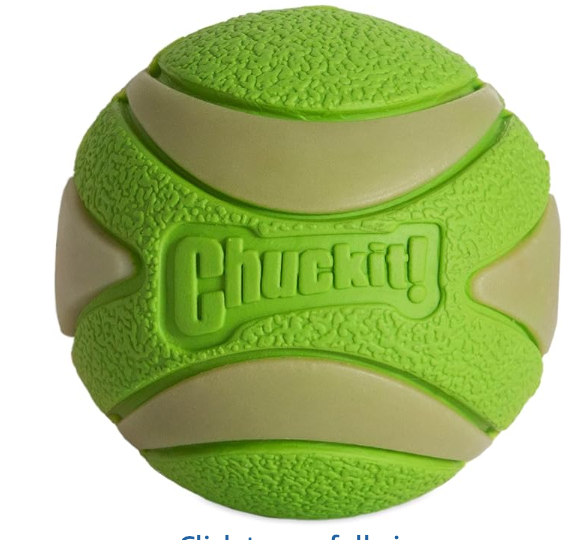 chuckit green ball dog toy