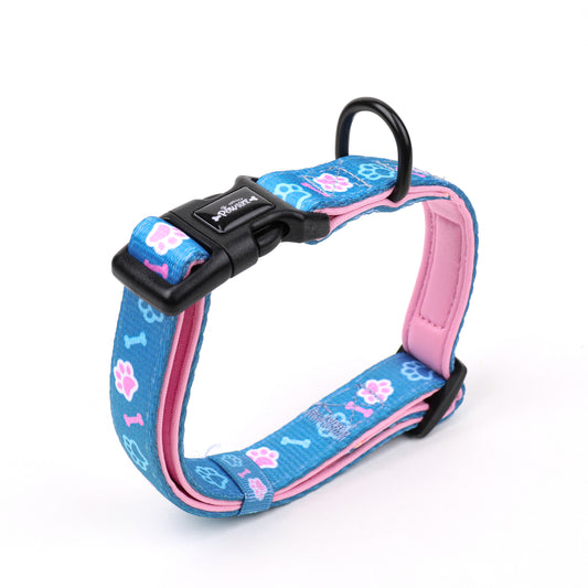 blue and pink  adjustable dog collar
