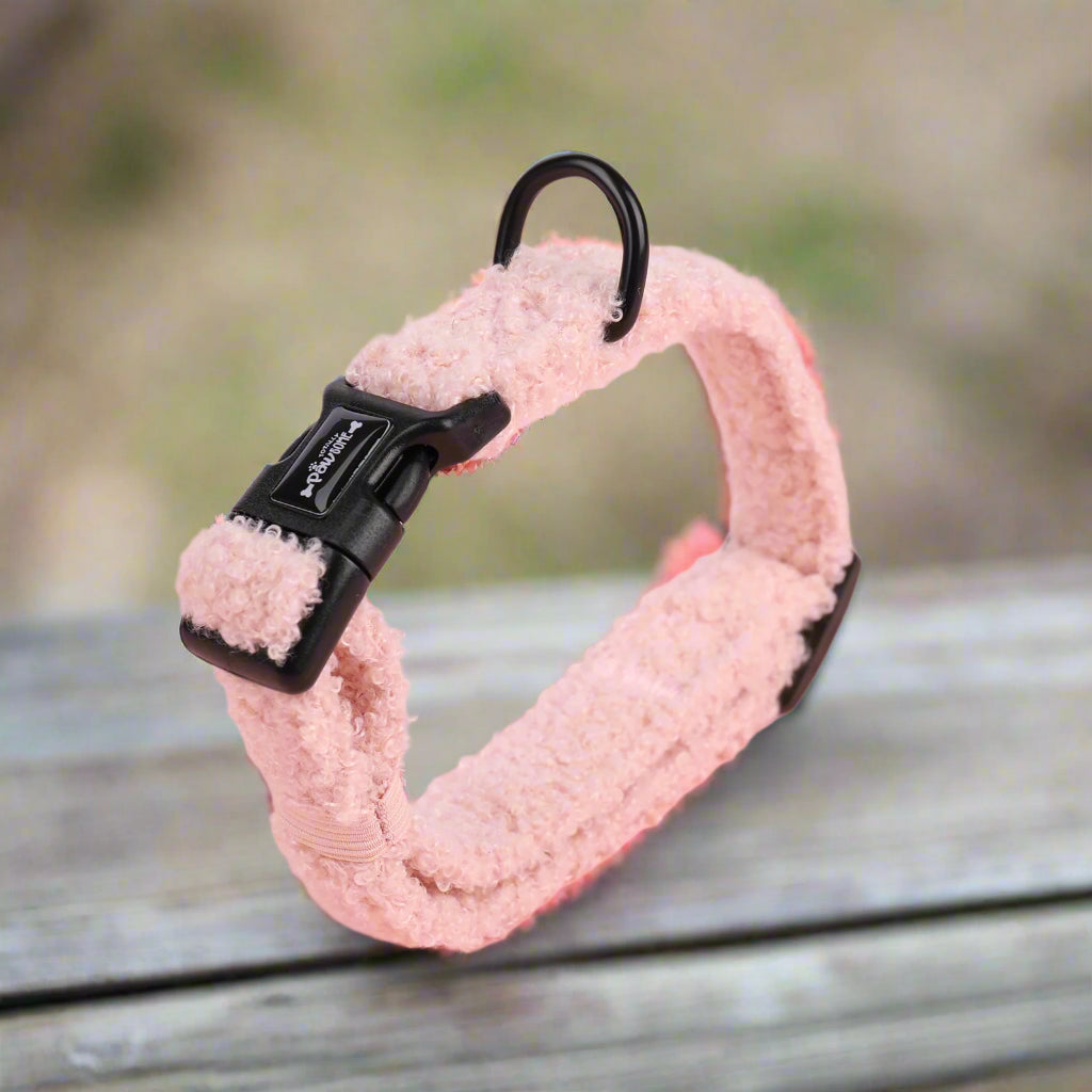 pink teddy dog collar for dogs & Puppies