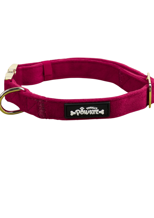 red velvet dog collar