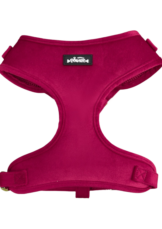 red velvet dog harness