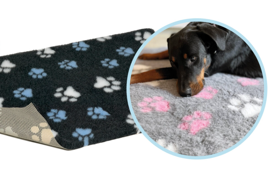 vet bed charcoal with blue and white paws